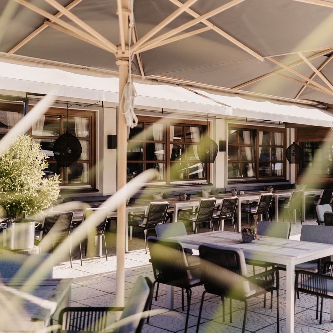 Orangenbaum auf unserer Sommer-Terrasse