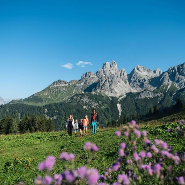 Familienwanderung im Hofalmgebiet © Filzmoos Tourismus / Salzburger Sportwelt / Christian Schartner
