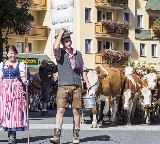 Almabtrieb in Filzmoos © Coen Weesjes