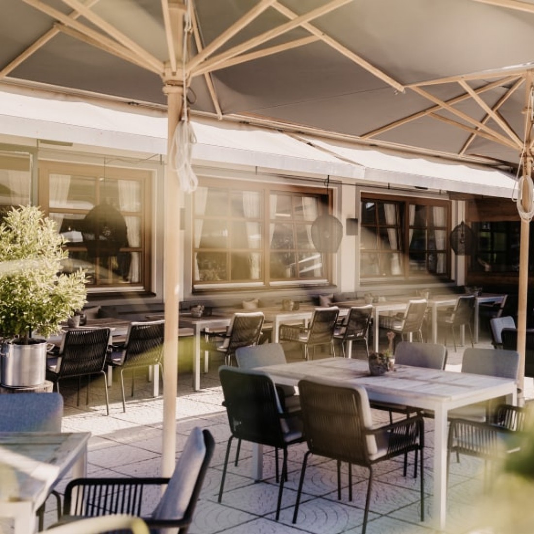 Terrasse sommerlich dekoriert mit Orangenbäumchen