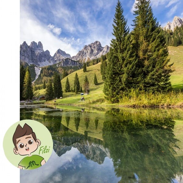 Almsee Filzmoos © Tourismusinformation Filzmoos 