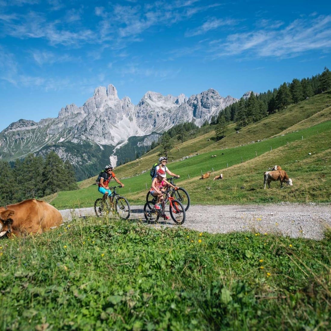 Mit dem Bike die Almen entdecken © Filzmoos Tourismus / Salzburger Sportwelt / Christian Schartner