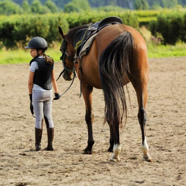 Reitunterricht für große und kleine Pferdefans